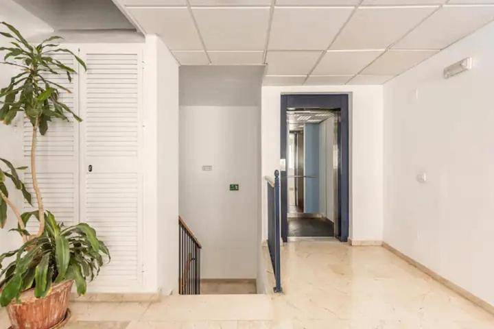 Lunaroom Center & Quiet Guesthouse Malaga Ngoại thất bức ảnh